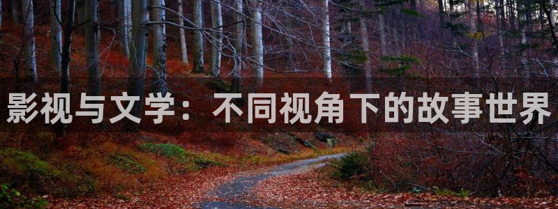 大地影视琪琪免费：影视与文学：不同视角下的故事世界