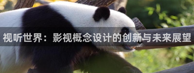 深夜影院琪琪：视听世界：影视概念设计的创新与未来展望