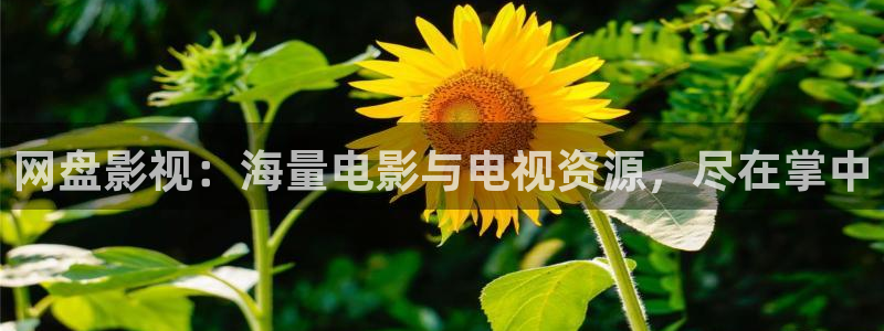 777琪琪午夜理论电影网