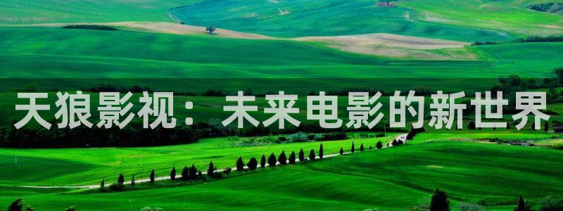 琪琪影院免费