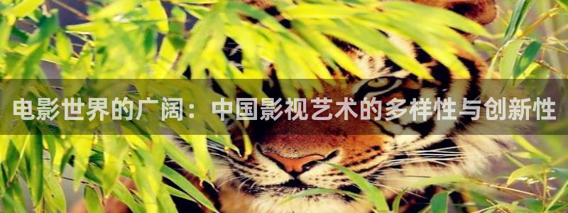 琪琪在线影院免费观看