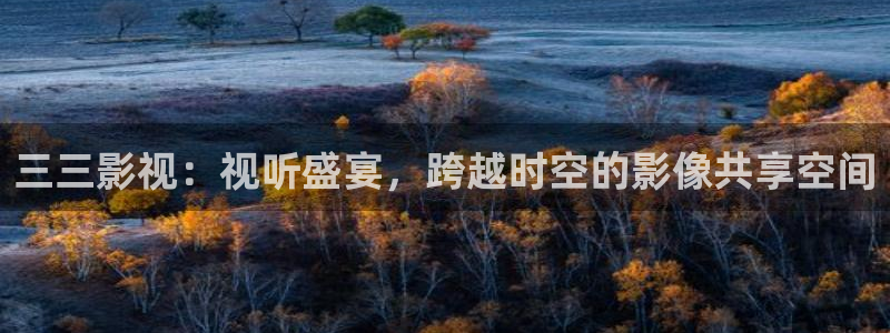 琪琪影视官网：三三影视：视听盛宴，跨越时空的影像共享空间