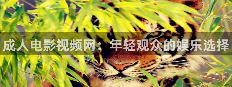 琪琪在线影院伦理：成人电影视频网：年轻观众的娱乐选择