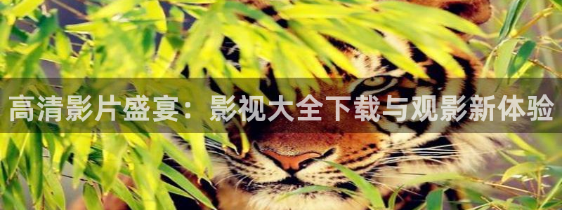 琪琪影院神马：高清影片盛宴：影视大全下载与观影新体验