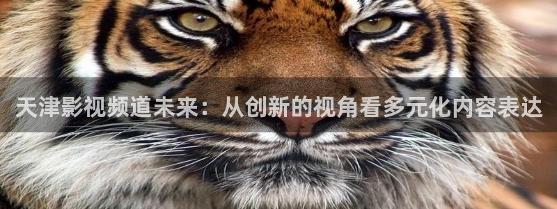 理论片琪琪午夜电影