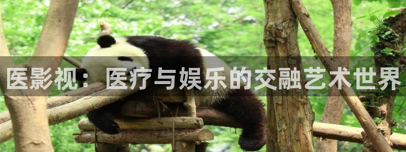 琪琪的影院
